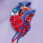 Heart (red-blue)
